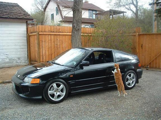 Illustration for article titled Only a "few" of the best Hondas ever